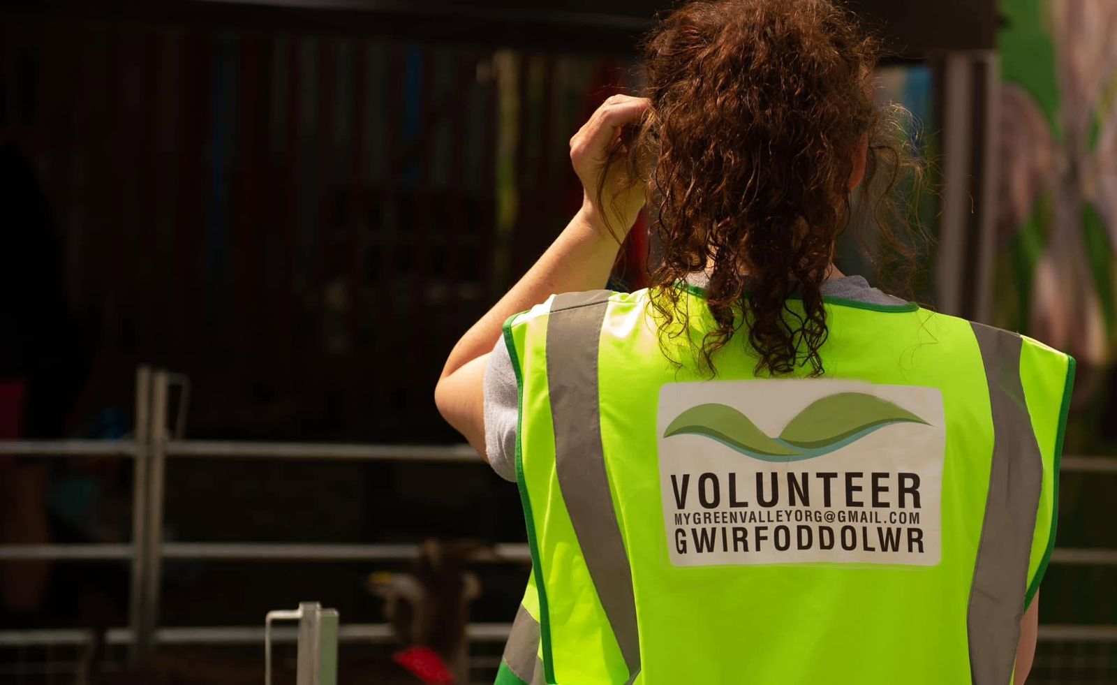 Back of a My Green Valley hi-vis vest reading Volunteer / Gwirfoddolwr with the group email address